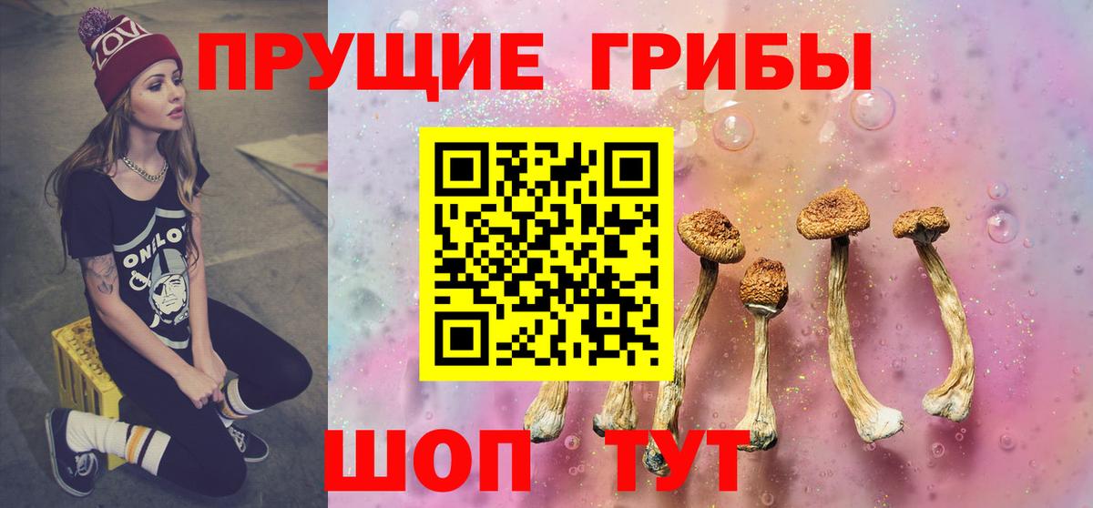 Городец  Галлюциногенные грибы Psilocybe  Псилоцибиновые грибы Cubensis  Вход с VPN 